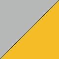 Catalyst Gray & Neo Yellow