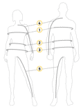 Body dimensions