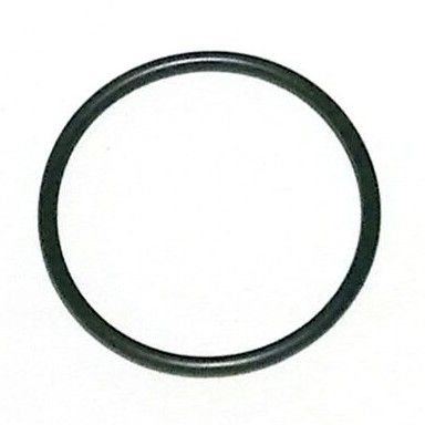 O-RING — 293300114 BRP