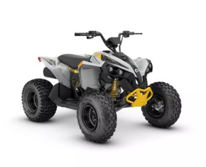 RENEGADE STD 110 EFI — 3CPC  CAN-AM