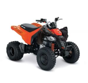 ОФРОУД DS STD 250 — 3JPB  CAN-AM